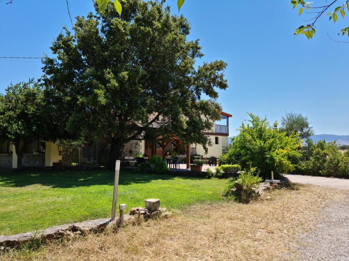 Tula Agriturismo Sa Pigalva מראה חיצוני תמונה