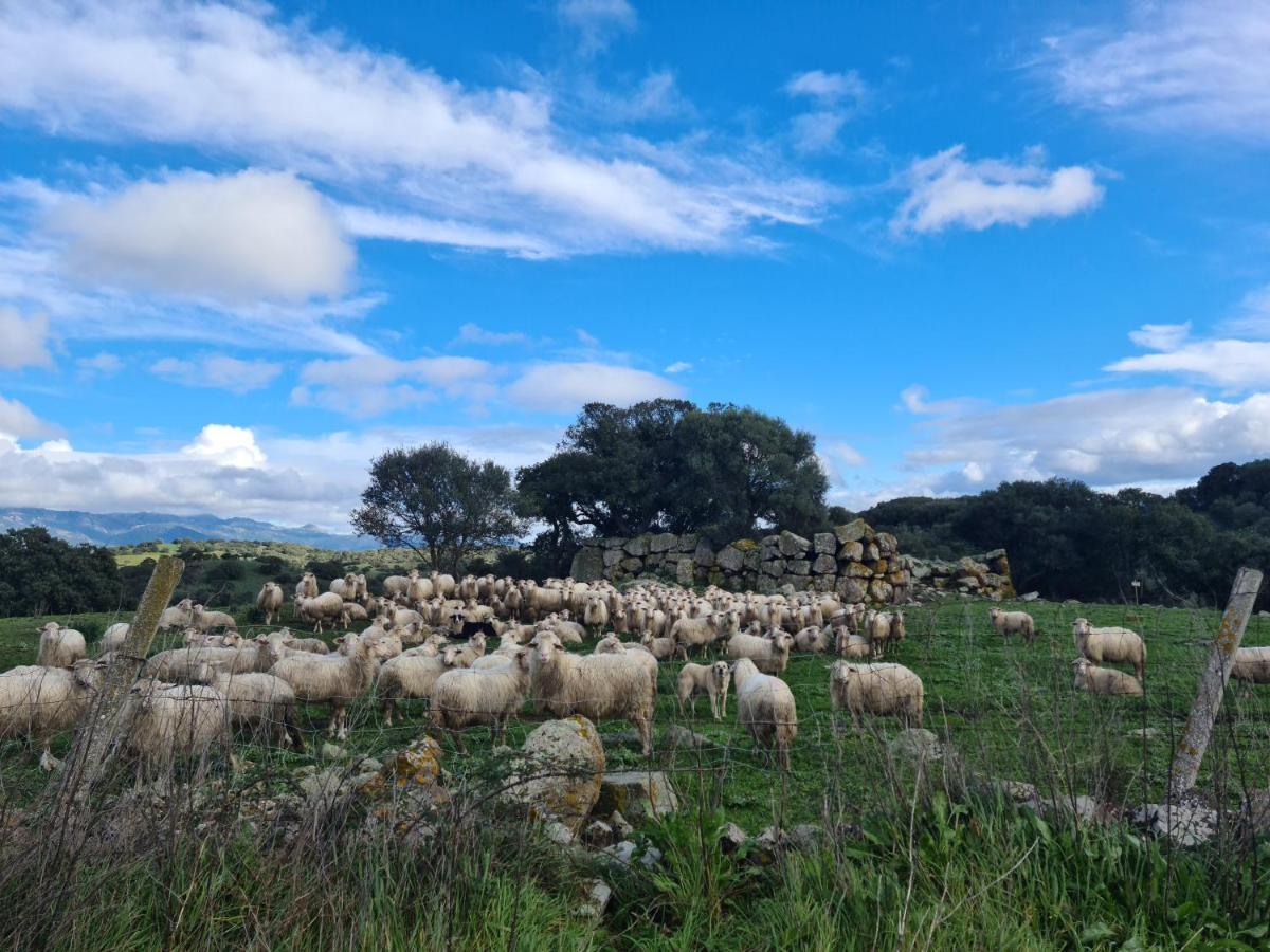 Tula Agriturismo Sa Pigalva מראה חיצוני תמונה