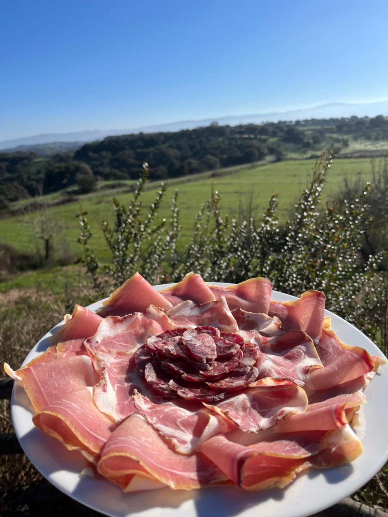 Tula Agriturismo Sa Pigalva מראה חיצוני תמונה