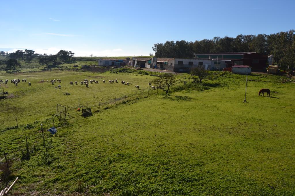 Tula Agriturismo Sa Pigalva מראה חיצוני תמונה