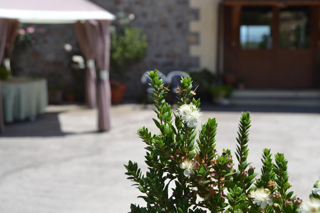 Tula Agriturismo Sa Pigalva מראה חיצוני תמונה