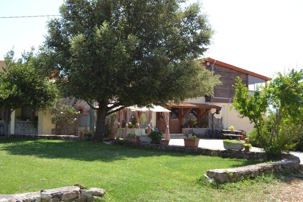 Tula Agriturismo Sa Pigalva מראה חיצוני תמונה